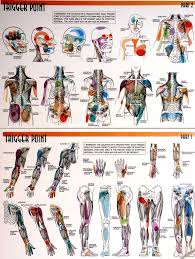 Trigger Points Check Out The Pdf Documents Associated With This Graphic They Are Full Of Very Helpful Informati Trigger Points Accupuncture Massage Therapy