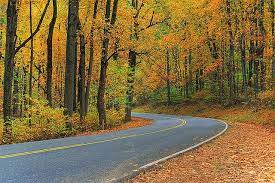 Skyline Drive Virginia In Autumn Mysterious Places Places To Travel Skyline Drive