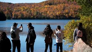 Thanksgiving 2020 will likely go down as one of the most unusual thanksgivings any of us will ever or you can watch a free online cooking demonstration with ottawa at home food editor paula. Covid 19 The Ottawa Budget And A Thanksgiving Like None Other Five Stories To Watch In Ottawa This Week Ctv News