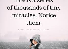 Life Is A Series Of Thousands Of Tiny Miracles Life Is A Series Of Thousands Of Tiny Miracles Notice Them Life Quotes Life Quotes Spiritual Quotes Tiny Miracles