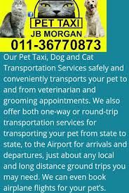 Long distance best ground pet transportation. Pet Service Posts Facebook
