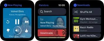 Apple Watch Pandora App Now Supports Siri W Voice Commands