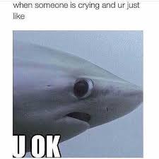 Lololol U Ok Shark Funny Pictures Funny Memes Funny Photos