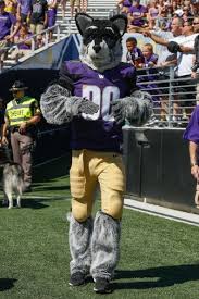 Washington Huskies Pictures And Photos Washington Huskies Washington Huskies Football Huskies Football