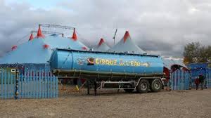 Enfermés dans le noir toute leur vie, quelle il a le droit de vivre au temps que nous dans son habitat naturel ! Saint Gildas Les Coulisses Detrempees Du Cirque Sur L Eau Vannes Maville Com