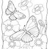 Flower coloring pages make the day bright and sunny for me. 1