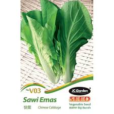 29 sawi putih ropol 10 26.00 30 sengkuang 10 26.00 31 terung bulat 2 6.00 32 terung panjang 2 6.00 33 timun 5 13.00 34 ulam raja 2 6.00. Jc Garden V03 Vegetable Seed Chinese Cabbage Sawi Emas Biji Benih Sayur Sayuran
