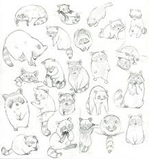 Eloisedraws Raccoons Eating Boxes Of Cracker Jacks Cans Of Animal Sketches Cute Drawings Animal Drawings