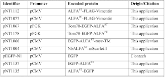 Hela cells stained with alpha tubulin mouse monoclonal antibody. Wo2020053239a1 Epitope Tags Recognized By Specific Binders Google Patents