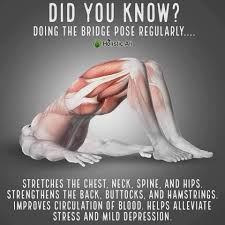 Let Us Help You Purchase Your Next Digital Imaging X Ray Equipment Www Dynamicdigitalimaging Com Dynamicdigitalimaging In 2020 Health Fitness Yoga Fitness Exercise