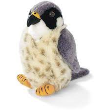 Peregrine Falcon Stuffed Animal Liked On Polyvore Featuring Stuffed Animals Toys Fillers Plushies And Anima Peregrine Falcon Plush Animals Audubon Birds