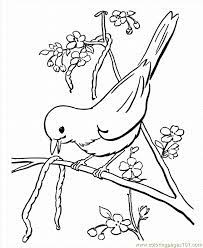 Animals index coloring pages for kids bird coloring pages view by type: Coloring Pages 03 Spring 20 Animals Birds Free Printable Coloring Library