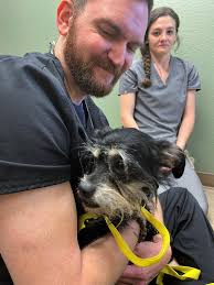 Donations of food and treats for Gypsy