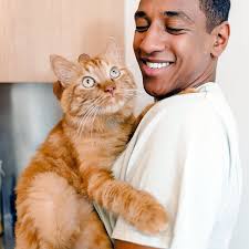 Cat Bond's Instagram, Twitter & Facebook