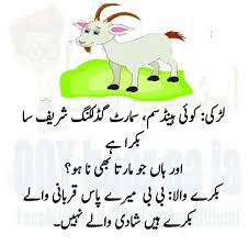 Pin By Insaan On Just Chill In 2020 Eid Jokes Funny Kids I Love My Fiance