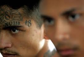 Subsecretario de OEA analiza tregua de pandillas en El Salvador