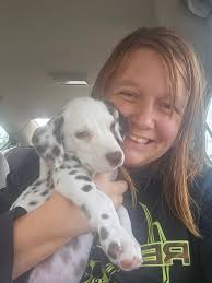 Meet Pongo my new best friend. Just got him yesterday