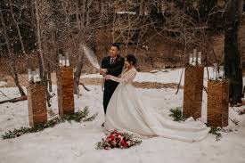 bees + mulberry photography