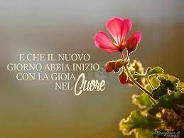 Buongiorno c'è tutto in un semplice buongiorno: Buongiorno Con Gioia Buongiorno Citazioni Sui Fiori Buongiorno Fiori