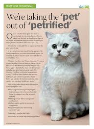 Fear Free Visits For Cats To Veterinarian Dvm360 Animal Hospital Animals Veterinary Hospital
