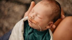 Fundraiser by Rachael Hamlin : In Memory of Hugo Nyborg Mattern