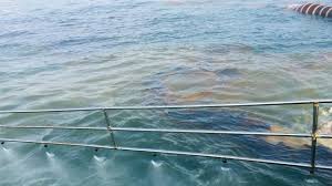Israel finds ship behind oil spill off its coast, ministry says reuters16:57. Oil Spill At Marine Terminal Off Ashkelon Israel