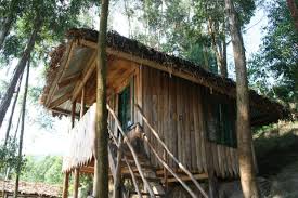 Thursday nights at the dugout $2 drinks. Amasiko Homestay Lake Bunyonyi Kabale Aktualisierte Preise Fur 2021
