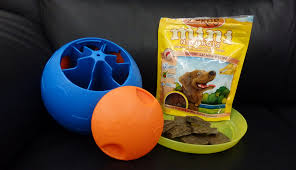 Check spelling or type a new query. The Best Puzzle Toys To Keep Your Dog Busy Tully S Training