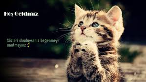 Guzel Sozler Home Facebook