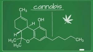 Cannabis News Journal Post Concussion Syndrome Traumatic Brain Injury And Medical Cannabis