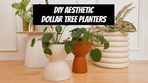 Dishware (cups, bowls, plates, glasses) mirrors; Diy Aesthetic Dollar Tree Planters Youtube