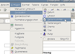 Eine weitere frage zur bearbeitung vom inhaltsverzeichnis: Seitennummern Apache Openoffice Wiki