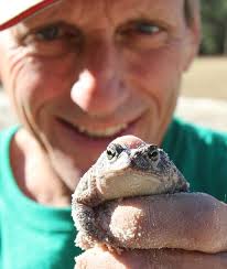 Bunker Restoration At Golden Hills