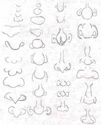 I used doms (zoom ultimate dark) pencil in this drawing. Cartoon Nose Drawing Front View Novocom Top