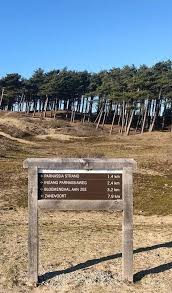 Pin Op Nationaal Park Zuid Kennemerland