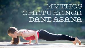 The spine plays a crucial role here. Chaturanga Dandasana Stockhaltung