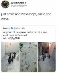 50 Funny Animal Memes 2019 To Break Your Jaws With Laughter Funny Animal Memes Animal Memes Funny Animals