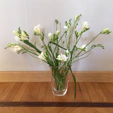 I garofani bianchi sono fiori classici, semplici ma sofisticati. I Fiori Di Nico Fresie E Ginestra Monticiana
