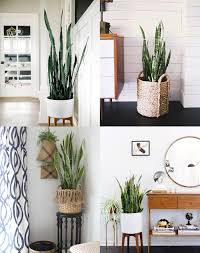 Un espacio simple cobra vida con una maceta y una bonita planta que enriquezca el espacio con su color y en algunos casos, con sus propiedades. Pin En Rincones