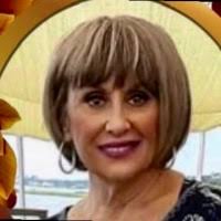 20+ "Dipetrillo" profiles