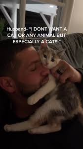 When Husband Says He Doesnt Want A Cat