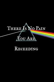 There S Someone In My Head But It S Not Me Pink Floyd Lyrics A Distant Ship Smoke On The Horizon 3 Pink Floyd Lyrics Pink Floyd Comfortably Numb Pink Floyd Quotes