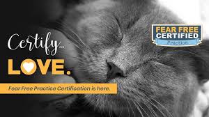 Veterinary visits can be scary and overwhelming for some pets. Facebook