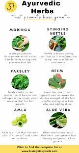 Ayurveda for hair loss home remedies with different herbs. Ayurvedic Herbs For Hair Herbs For Hair Ayurvedic Hair Ayurvedic Hair Care