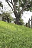 Image result