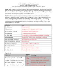 It takes 30 min for the bacterium to complete which function can be carried out by dna replication proteins? Bacteria Virtual Lab Answer Key Answer Key Benson