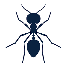 Abell pest control selected this as a representative review. Pest Control Abell Home