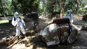 Kebun binatang gembira loka merupakan kebun binatang yang ada di kota yogyakarta, yang berisi berbagai macam hewan dari berbagai spesies seperti orangutan, gajah asia, simpanse, harimau, dan masih banyak hewan lainnya. Siap Dibuka Solo Zoo Terapkan Protokol Kesehatan Di Era New Normal
