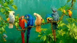 .these wallpapers are free download for pc, laptop, iphone, android phone and ipad desktop. Love Birds Hd Wallpapers Free Download Poto Butut