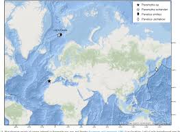 We have discovered five new vent fields in norwegian national waters between jan mayen island and loki's castle, rolf pedersen. Figure 1 From New Species Of Ampharetidae Annelida Polychaeta From The Arctic Loki Castle Vent Field Semantic Scholar